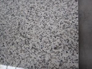 Гуангдонг Г655 светло сива гранитна плочица пода са полираном или пламеном површином за продају